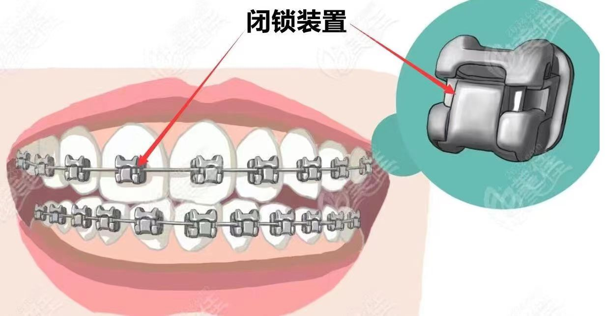 图片6