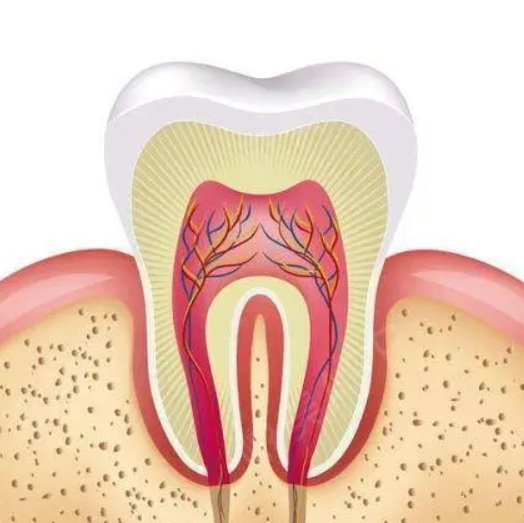 How long does root canal treatment take?